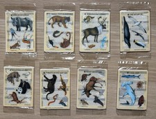 A Complete Set of 8 Unopened