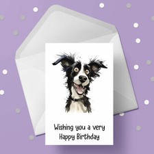 Border Collie Dog Birthday