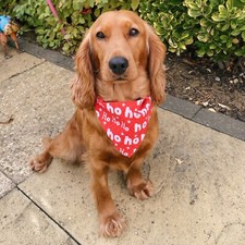 Christmas Xmas Father Snowman