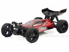 Himoto Racing Tanto 1/10 RTR 4WD Brushless Electric RC 2.4G Buggy Latest Version