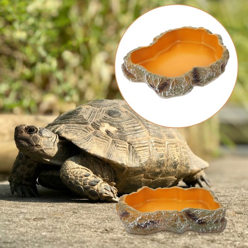 Reptile food water dish - reptile,