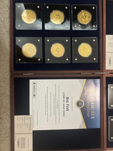 Big five fractional gold - fractional, coin