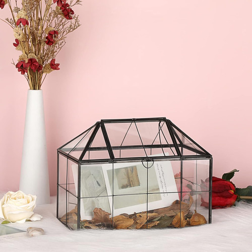 Black glass plant terrarium - glass,