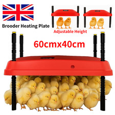 Nisorpa 60x40cm Chick Brooder