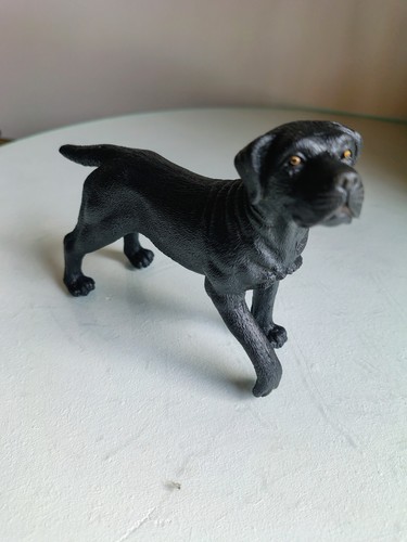 Labrador dog similar - dog, to