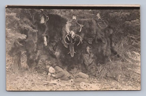 Hunter bear skins skulls - skins,