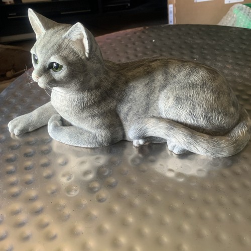 Border fine arts cats - arts, &