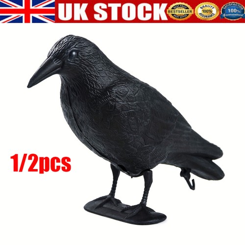 Pigeon scarers life size - pigeon,