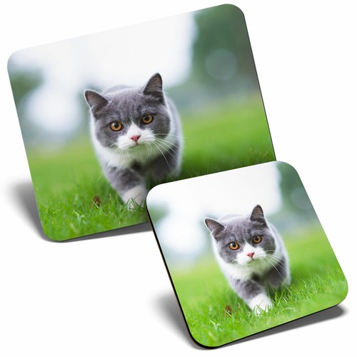 Mouse mat coaster set - mat,