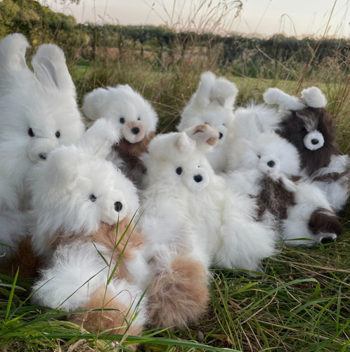 Bunny rabbit soft toy - toy, from