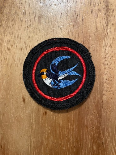 Girl guides swallow patrol - girl,