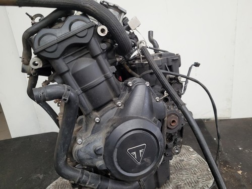 Triumph tiger 800 engine - 800,