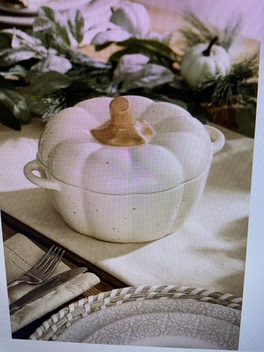 Brand lidded pumpkin casserole - pumpkin,