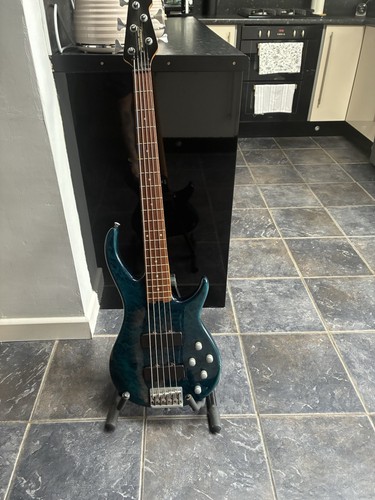 Peavey fury bass - peavey,