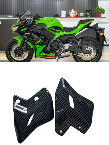 Carbon fiber heel guard - , rear