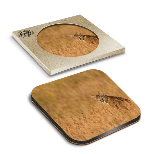 Boxed square coasters - 1,