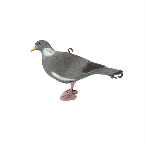 Sport plast wood - plast, pigeon