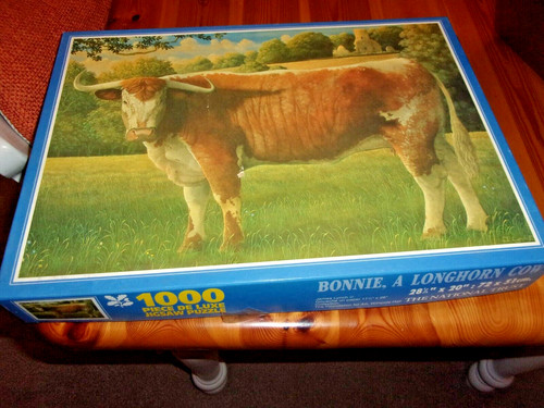 Bonnie longhorn cow - bonnie,, a