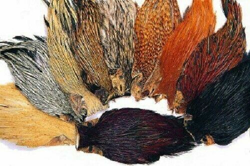 Indian cock capes various - cock,
