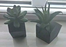 2 x Succulent In Concrete Pots From Paperchase