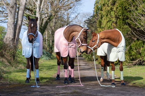 Rhinegold sorbet fleece rug - rhinegold,