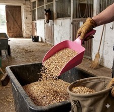 Vikan Hand Scoop Small 1kg