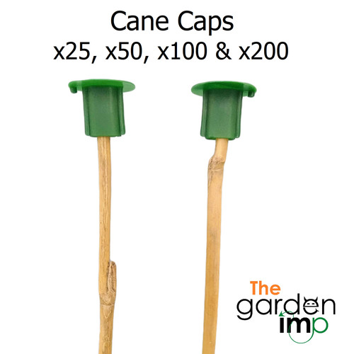 Cane caps plastic eye - plastic, skin