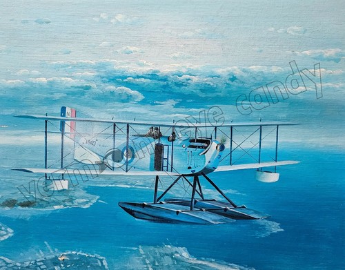 Aviation aircraft hydroplane - aircraft,