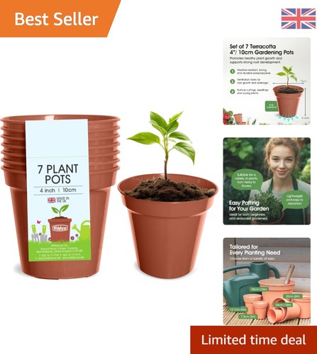 Versatile terracotta plant - versatile,