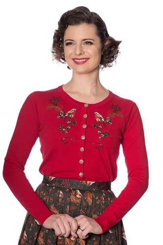 Robin christmas cardigan - robin,