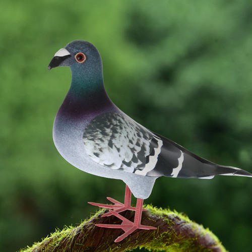 Novelty item simulated pigeon - ,