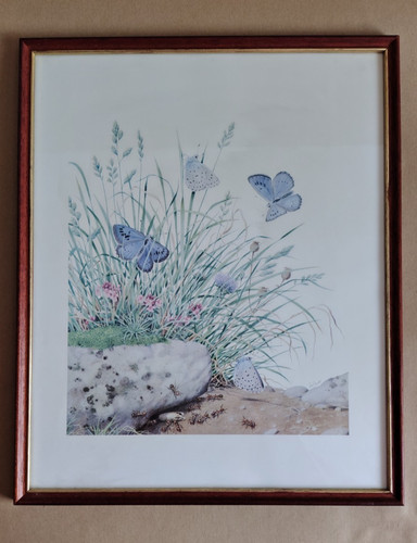 Vintage large blue butterfly - vintage,