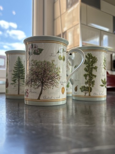 Stechcol fine bone china - bone, mugs