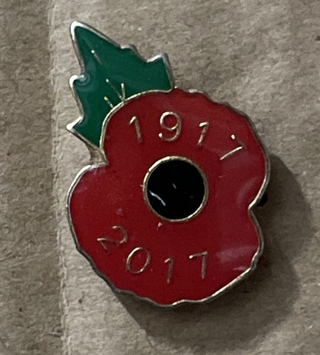 Poppy badge 1917 - 2017, ww1