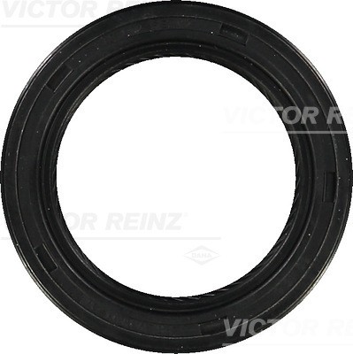 Victor reinz 34805 - victor,