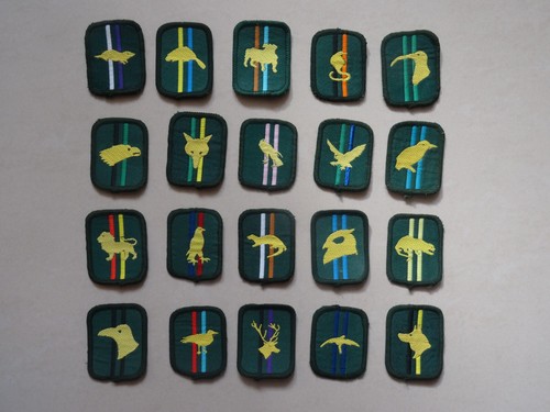Scout patrol badges - scout,