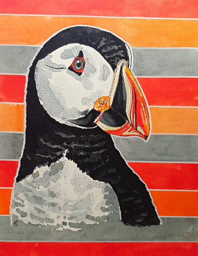 Puffin new original - puffin,,