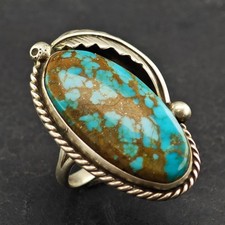 Large Native American