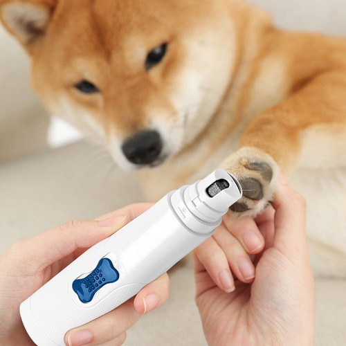 Electric dog nail grinder - nail,