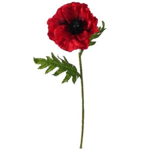 57cm single stem red - 57cm,