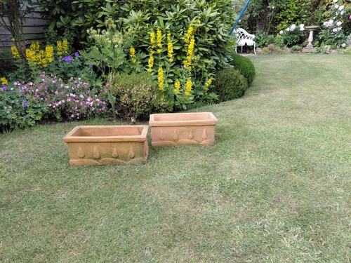 Terracotta planters - 2x,