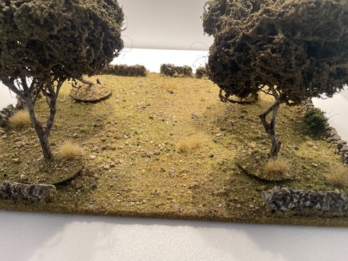 Mediterranean orchard - (no90c),