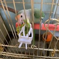 Cute Parrot Fruit & Veggie Clip | Bird Cage Feeder & Cuttlefish Holder