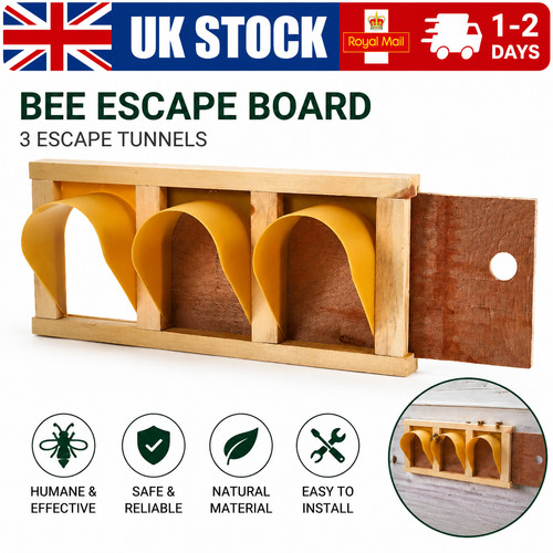 Pigeon cage entrance - pigeon,
