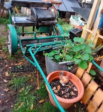 Exercise cart. Fit Shetland up to about 12hh