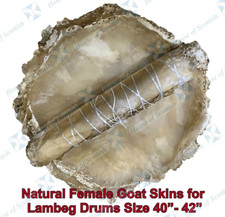 QUALITY LAMBEG DRUM HEAD SKINS