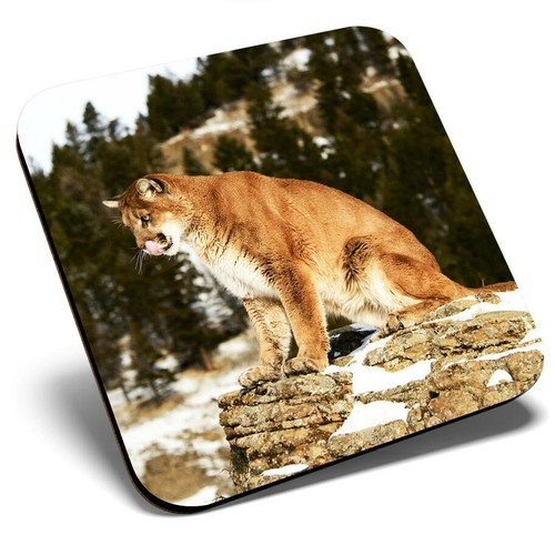 Square single coaster - single,
