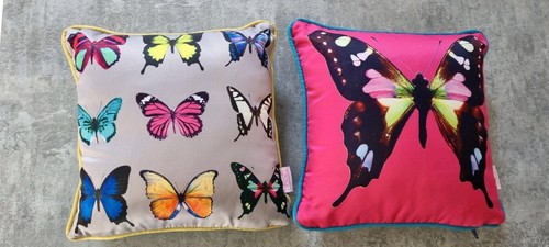Butterfly home matthew - butterfly, by