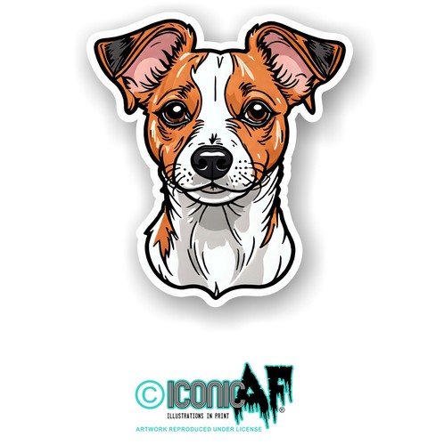 Jack russell pet puppy dog - pet,