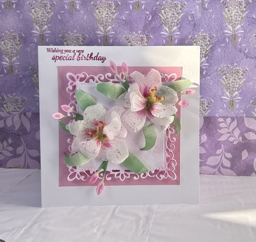 Special birthday card any - special,